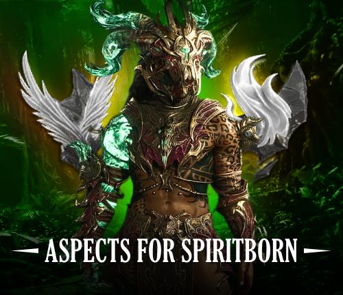 BIS ASPECTS FOR SPIRITBORN